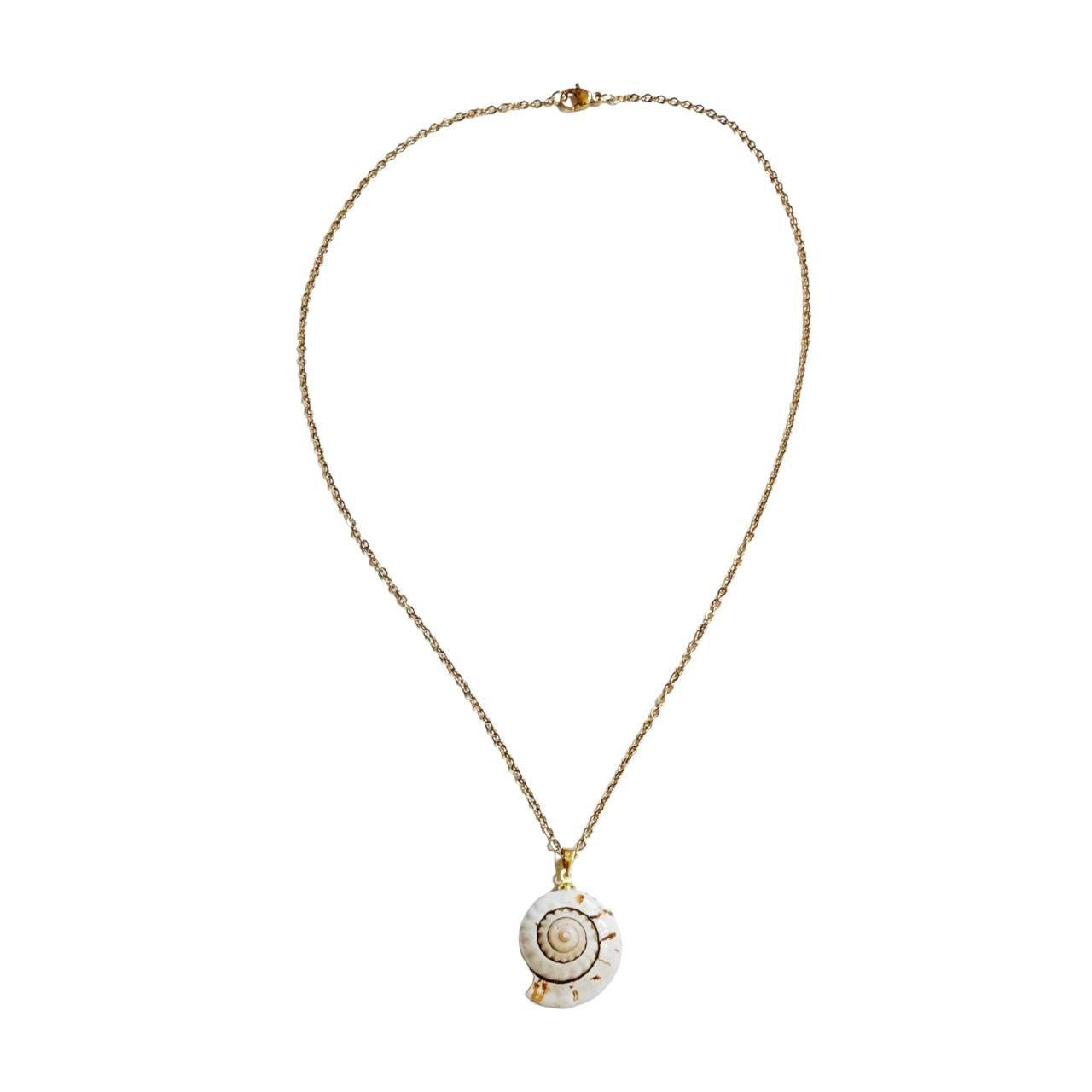 gold natural snail shell necklace