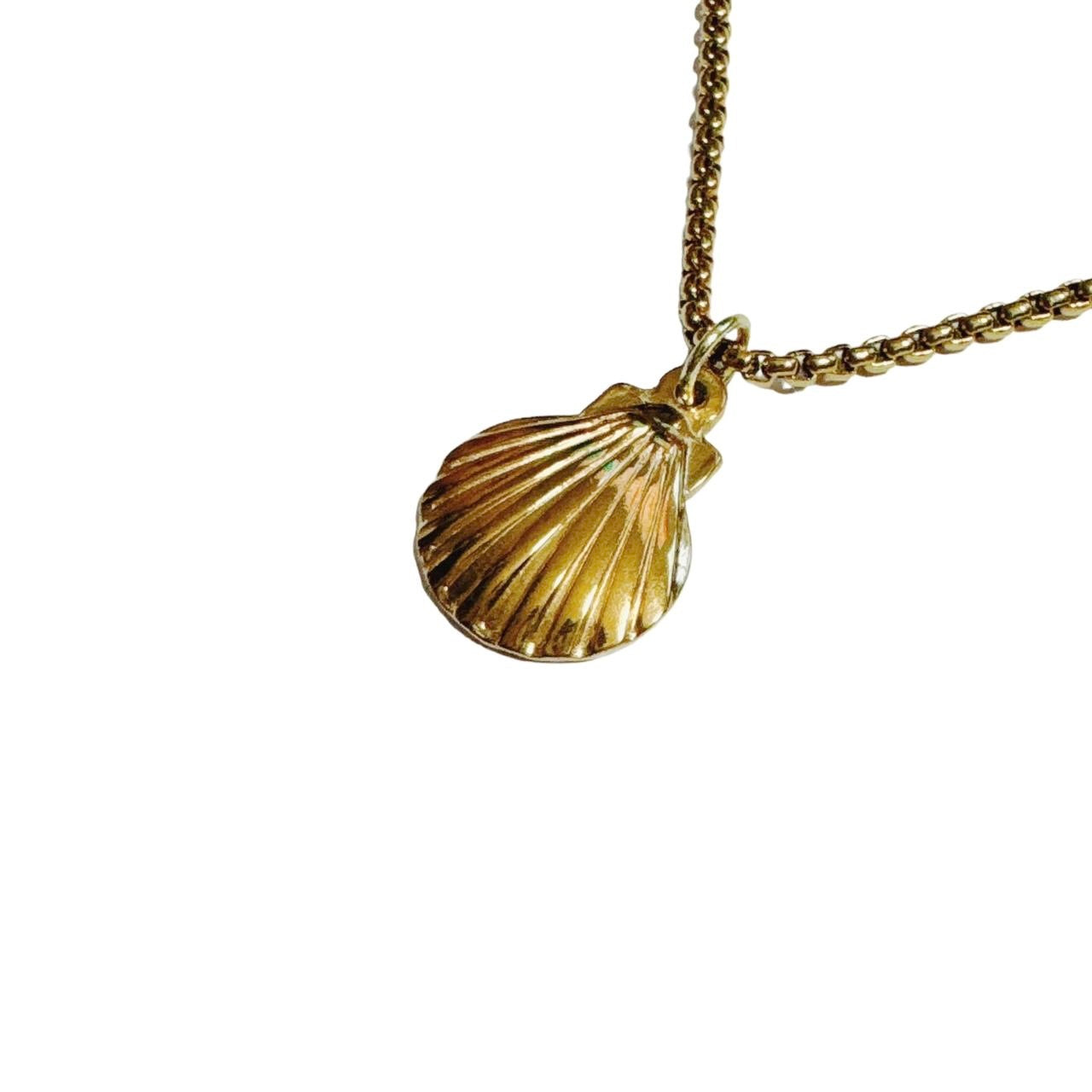 gold shell necklace