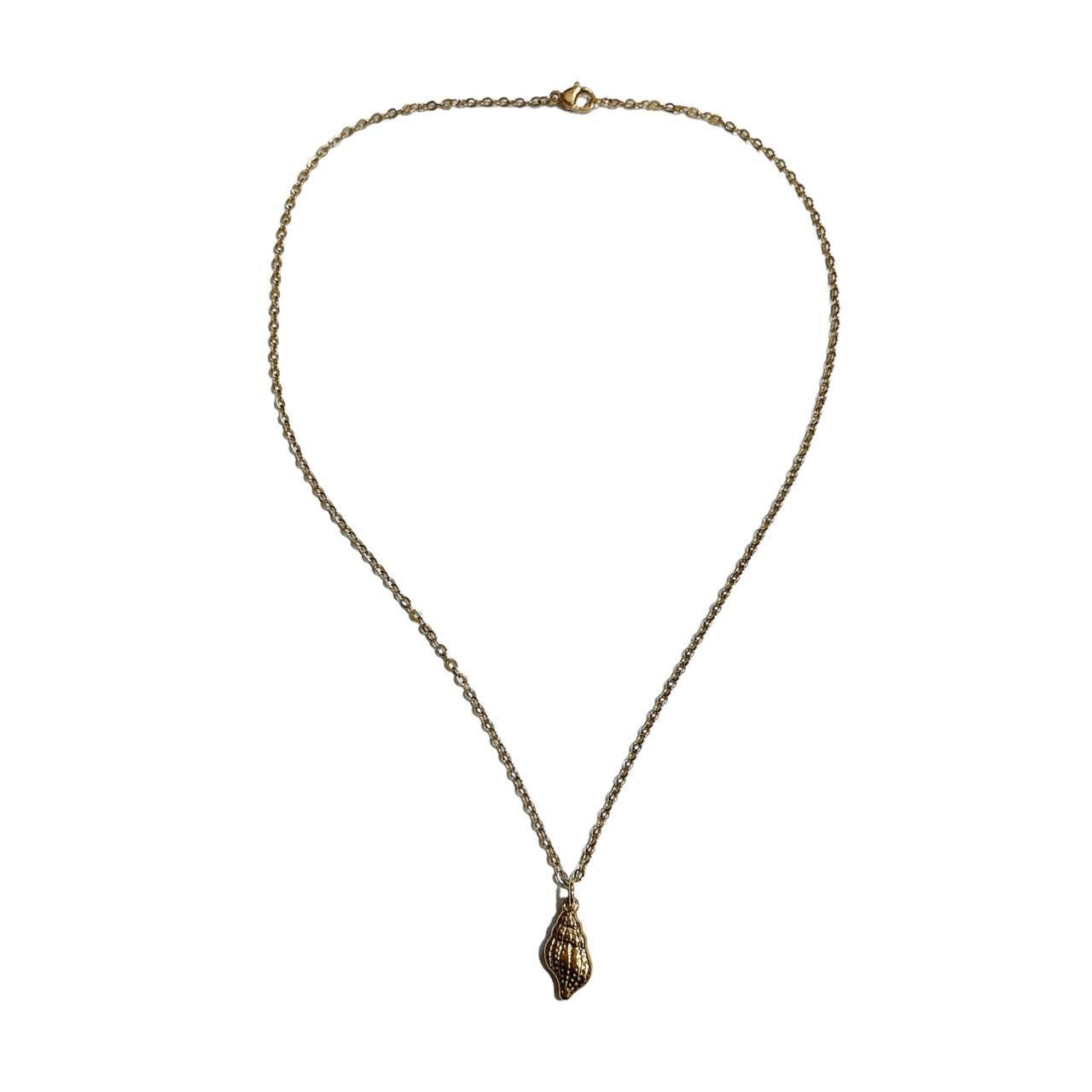 gold sea snail shell necklace