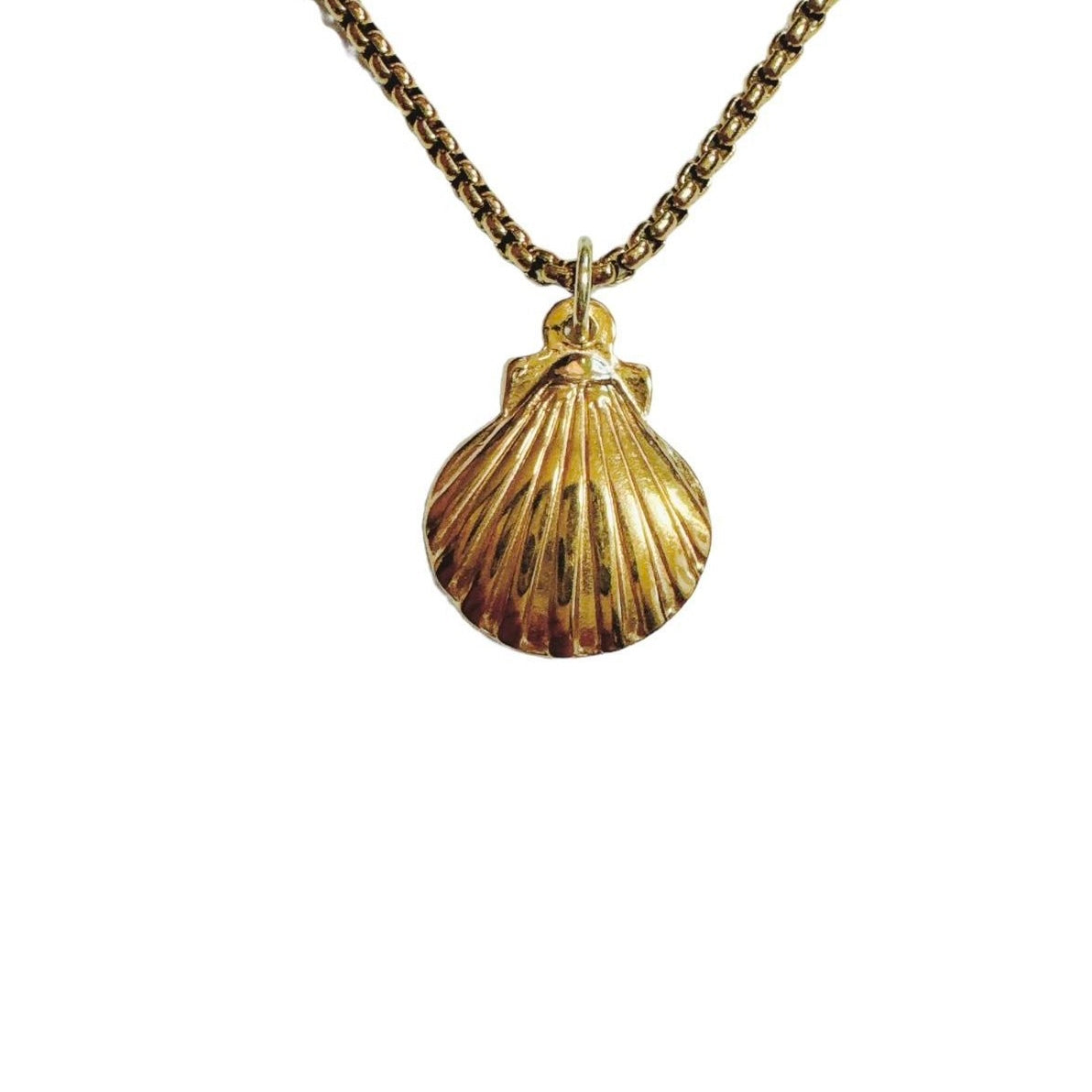 gold shell necklace