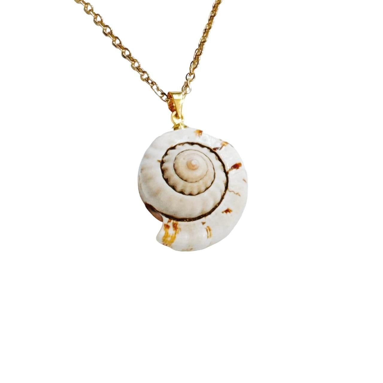 gold natural snail shell necklace