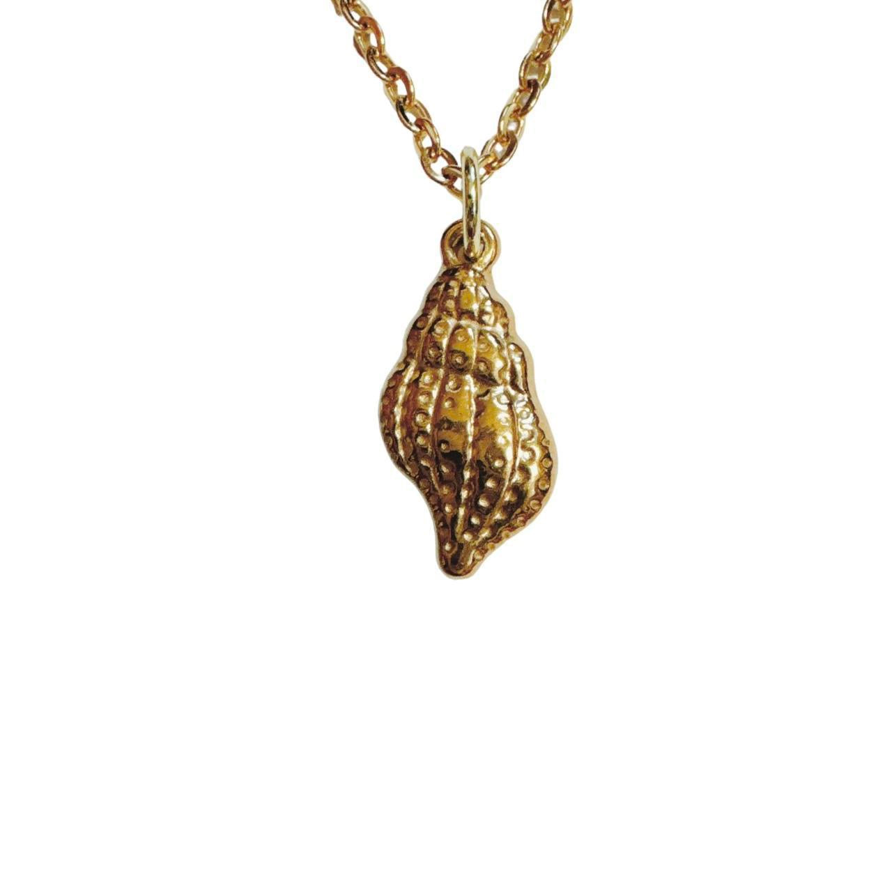 gold sea snail shell necklace