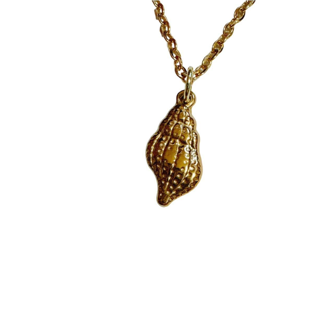 gold sea snail shell necklace