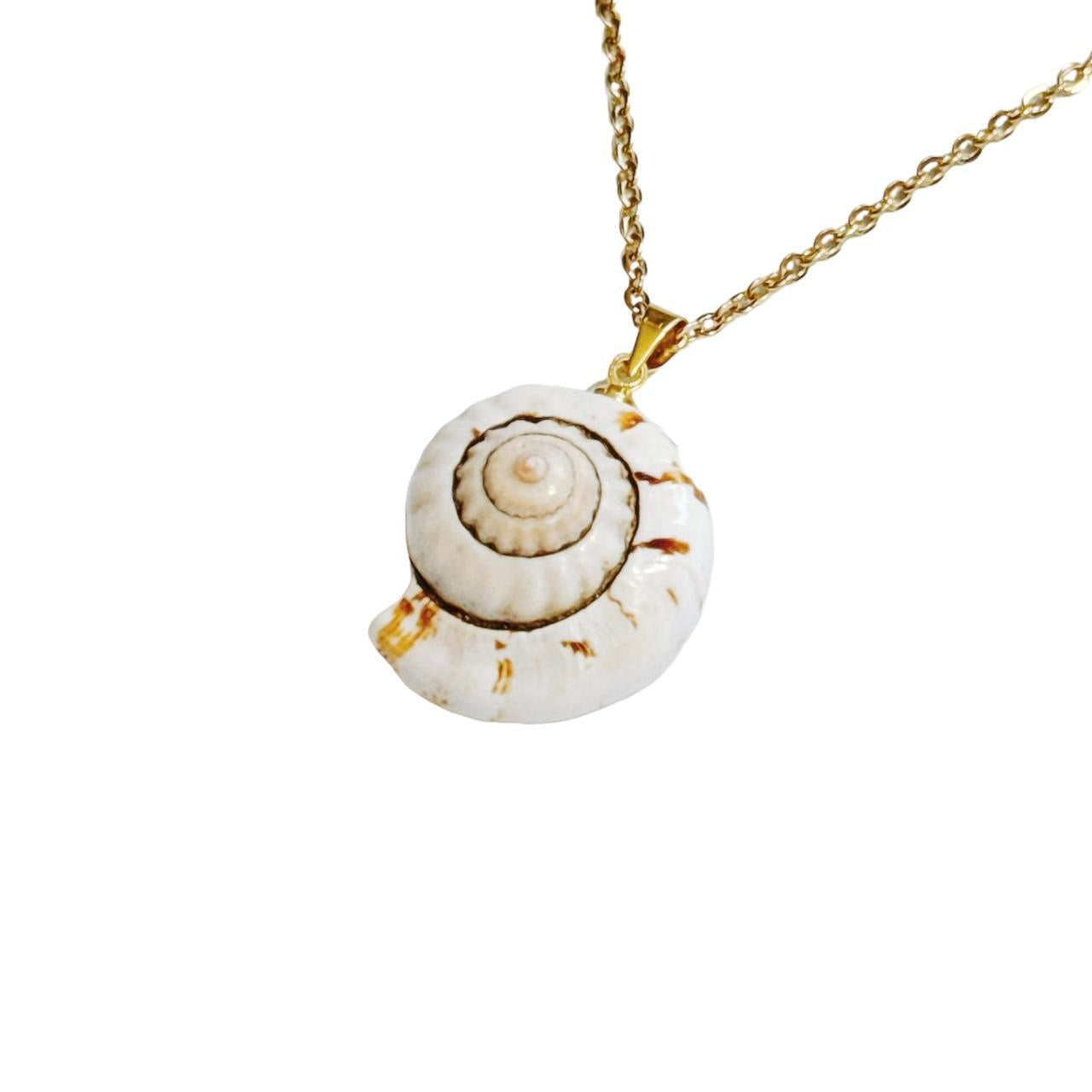 gold natural snail shell necklace