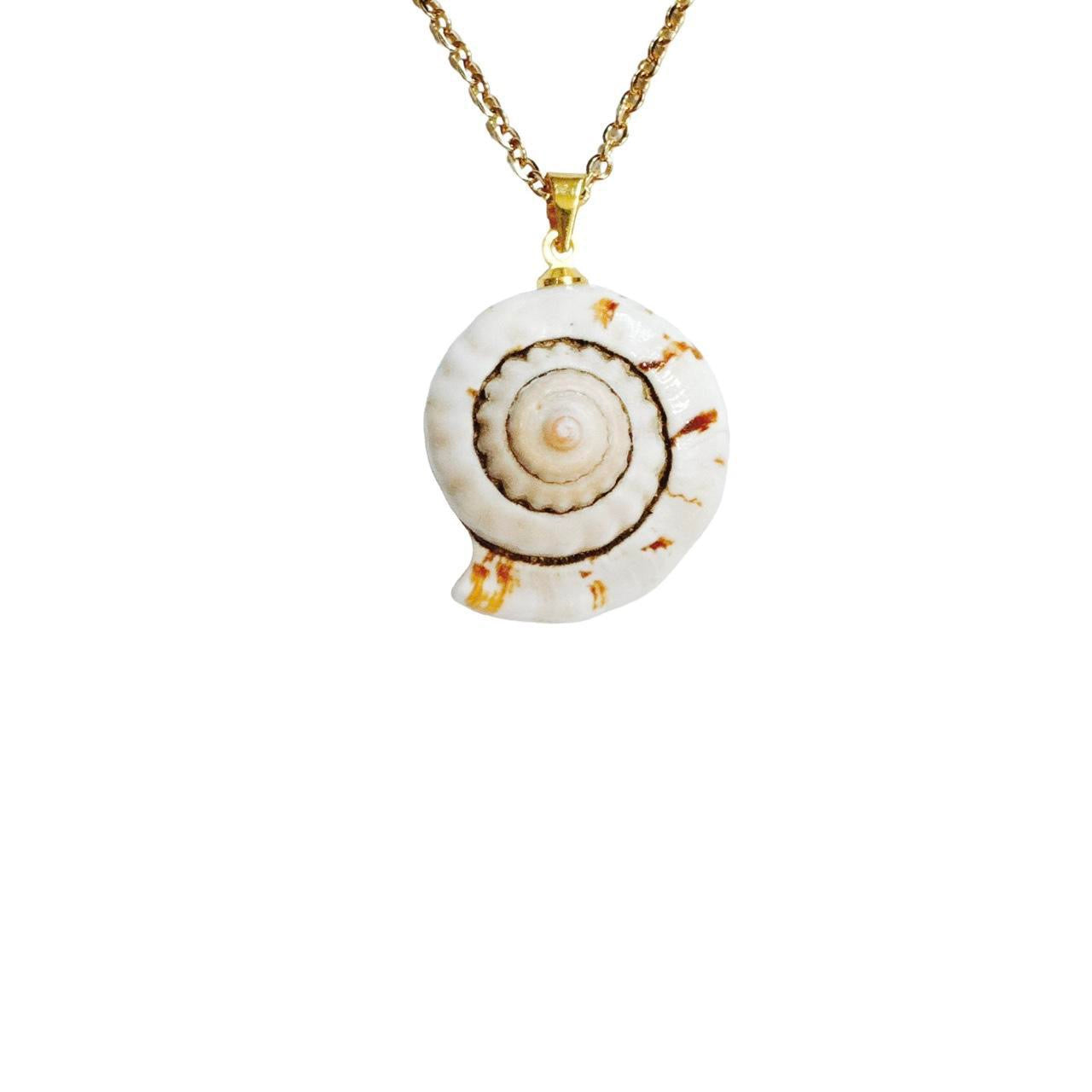 gold natural snail shell necklace